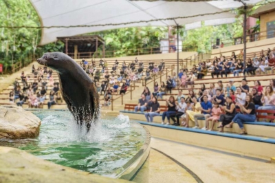 thumbnail - “지금 안 가면 손해”…싱가포르 여행, 달라진 관광 지도