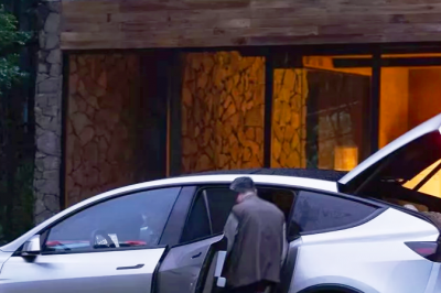 thumbnail - 봄나들이는 이 차로 정했다… 팰리세이드보다 넓은 테슬라 SUV 곧 온다