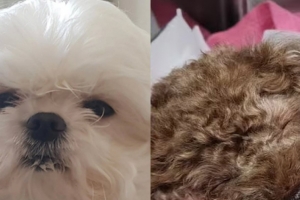 기사로 이동 - 꽃 피는 3월 전해진 먹먹함… ‘나혼산’ 절친 배우들의 슬픈 이별