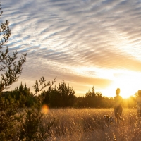 thumbnail - 실제나이 보다 더 주목받는 ‘이 나이’…뇌 건강 바꾼다