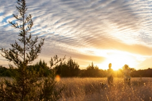 기사로 이동 - 실제나이 보다 더 주목받는 ‘이 나이’…뇌 건강 바꾼다