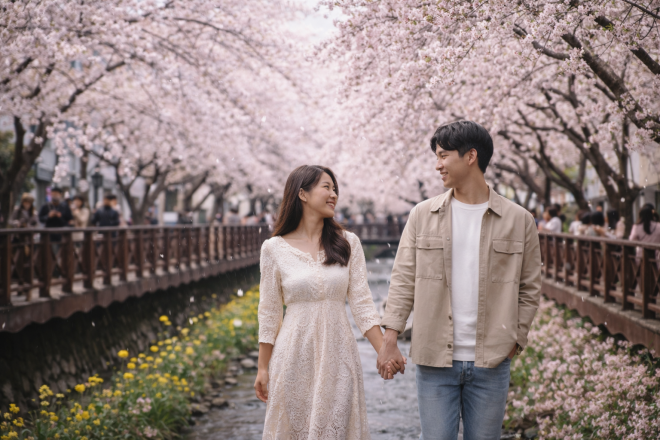 thumbnail - 서울보다 빠르다…개화 빨라진 ‘지역 벚꽃 축제’ 벌써 시작