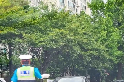 thumbnail - 나른한 4월, 무심코 먹은 약 하나… 2천만원 벌금 내는 운전 단속