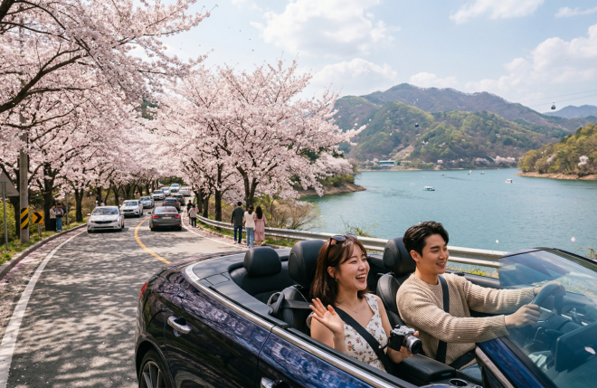 thumbnail - 벚꽃 끝난 줄 알았지?…‘마지막’ 늦깎이 벚꽃 여행지 3곳