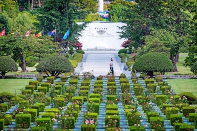 thumbnail - 부산 가면 여기 꼭…유엔기념공원, 봄 명소로 떠오른 이유