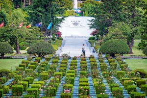 기사로 이동 - 부산 가면 여기 꼭…유엔기념공원, 봄 명소로 떠오른 이유