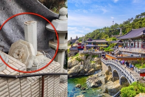 기사로 이동 - 부산 해동용궁사 왜 유명할까…근처 맛집은 어디?