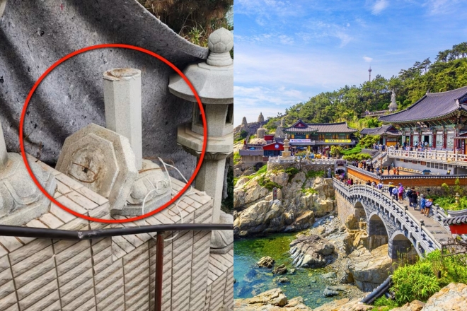 thumbnail - 부산 해동용궁사 왜 유명할까…근처 맛집은 어디?