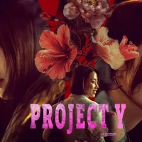 thumbnail - 욕 먹고 끝난 줄…‘프로젝트 Y’ 넷플릭스 1위 반전 이유는