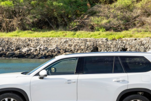 기사로 이동 - 봄나들이 길, 기름값 걱정 없다니… 팰리세이드 계약 전 보라는 이 SUV