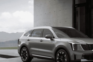 기사로 이동 - 전기차는 아직 부담스러워… 봄나들이 앞두고 불티나게 팔리는 국산 SUV