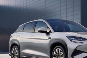 기사로 이동 - 팰리세이드 공간이 부럽지 않네… 4천만원대 중국산 전기 SUV 등장