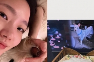 기사로 이동 - 거기선 아프지 말고 행복해야 해… 김고은, 4년 함께한 반려견 월이 떠나보내