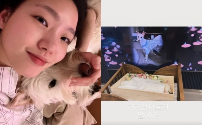 thumbnail - 거기선 아프지 말고 행복해야 해… 김고은, 4년 함께한 반려견 월이 떠나보내