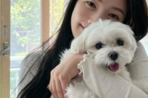 기사로 이동 - 이 일을 평생 할 순 없으니까요… 애견 미용사 자격증 도전한 레드벨벳 조이