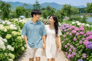 기사로 이동 - 장마에 더 예쁘다…6월 수국축제 일정 한눈에