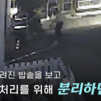 thumbnail - 버려진 밥솥에 숨겨진 2100만원, 70대 경비원의 결단