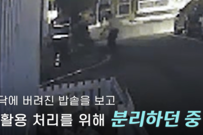 thumbnail - 버려진 밥솥에 숨겨진 2100만원, 70대 경비원의 결단