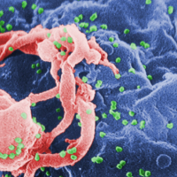 thumbnail - 3년째 줄었는데…작년 HIV 감염 아동 1명, 99%는 ‘이 경로’였다