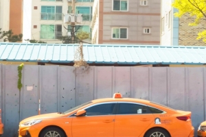 기사로 이동 - “아·바·사·자 빠졌네?” 노란 번호판 택시, 밤길에 절대 타면 안되는 이유