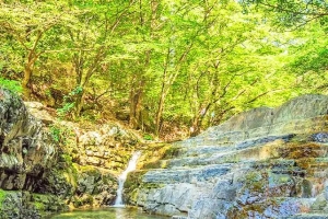 기사로 이동 - “입장료 없는데 물이 이래요?” 544년 고찰 품은 6km 김해 계곡