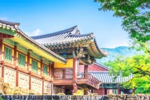 기사로 이동 - “돈 한 푼 안 내고 이런 풍경이?” 순천 송광사, 80개 전각 뒤덮은 배롱나무