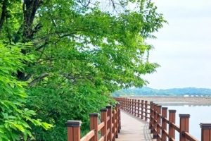 기사로 이동 - “가파른 길 하나 없는데 3층 전망대?” 부모님 모시고 갔다가 감탄한 1.5km 산책로