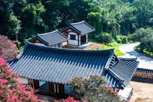 기사로 이동 - “200년 나무가 지붕 삼켰다” 논산 11경, 입장료 없는 고택의 여름 풍경