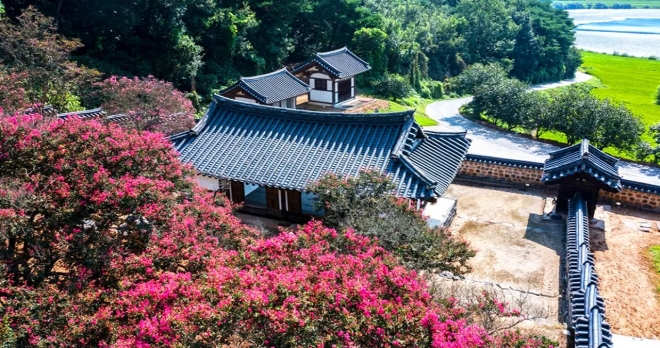 thumbnail - “200년 나무가 지붕 삼켰다” 논산 11경, 입장료 없는 고택의 여름 풍경