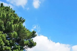 기사로 이동 - “역사 유적지 안에 이런 풍경이?” 제주 항파두리, 입장·주차 전부 공짜