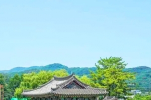 기사로 이동 - “2만 평 연꽃이 전부 공짜?” 주차비까지 안 받는다는 경북 청도 명소
