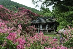 기사로 이동 - 왕이 세 번 찾아온 300년 정원, 입장료 0원이라니 더 놀랍다