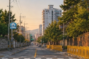 기사로 이동 - “주말엔 제발 찍지 마세요” 스쿨존 24시간 단속, 정부도 결국 칼 뺐다