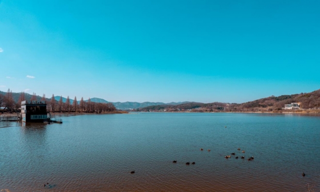thumbnail - “나만 알고 싶었는데…” SNS 난리 난 4.8km 공짜 연꽃길의 정체