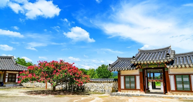 thumbnail - “이게 전부 공짜라고?” 390년 붉은 나무, 유네스코 서원의 압도적 풍경