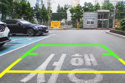 thumbnail - 후방카메라 빨간선 믿고 후진하다 ‘쿵’…주차고수도 속는 함정