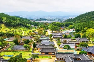 기사로 이동 - “여기 진짜 사람 살아요” 400년 된 대구 한옥마을, 8월에만 보이는 풍경