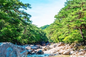 기사로 이동 - “한낮인데 서늘하네” 3.5km 계곡길, 입장료·주차비 모두 ‘0원’