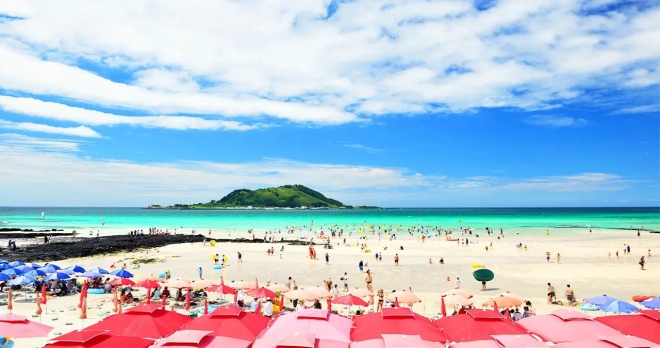 thumbnail - 제주 협재해변 ‘밤 9시 입수’ 직접 가보니… 8월 15일 지나면 끝