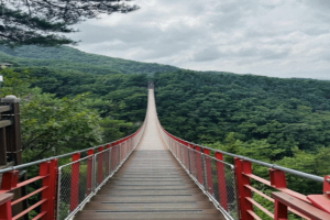 기사로 이동 - 가봤더니 입이 ‘쩍’… 서울 근교 150m 출렁다리, 입장료도 없었다