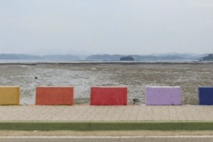 기사로 이동 - 사천 3km 무지갯빛 도로, “공짜인데 뷰는 전국구” 소문난 진짜 이유