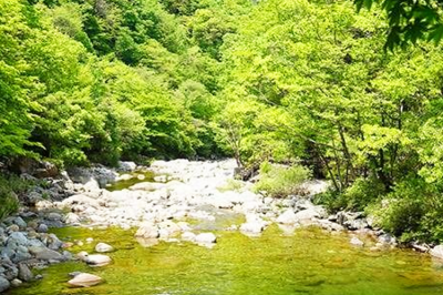 thumbnail - ‘딱 두 달만 열립니다’ 해발 800m 지리산 계곡, 9월부턴 출입 통제