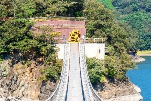 기사로 이동 - 입장료 3천원 냈는데 그대로 돌려주네? 8.4km 출렁길 있는 장성호