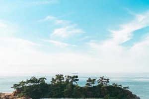 기사로 이동 - “차 없으면 못 가요” 3km 방조제 끝, 에메랄드빛 ‘굴 껍데기’ 해변 정체