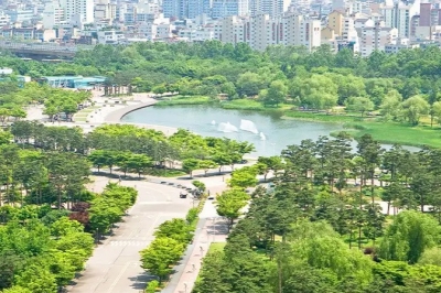 thumbnail - “쓰레기 냄새 나던 곳 맞아요?” 2.3km 산책길에 숨겨진 반전