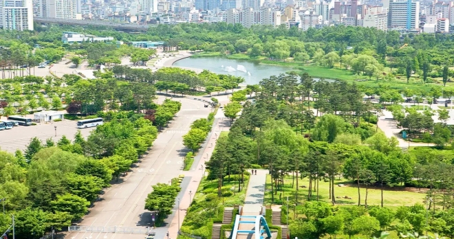 thumbnail - “쓰레기 냄새 나던 곳 맞아요?” 2.3km 산책길에 숨겨진 반전