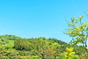 기사로 이동 - 70만 평 공원에 54m 전망대, ‘이게 다 무료?’ 군산 가보니
