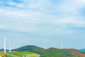 기사로 이동 - “한여름에 왜 패딩을?” 40만 평 배추밭, 해발 1,300m 올라가보니