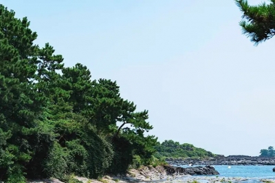 thumbnail - “제주도 어디까지 가봤니?” …제주 시민 70%가 마시는 물에서 ‘첨벙’
