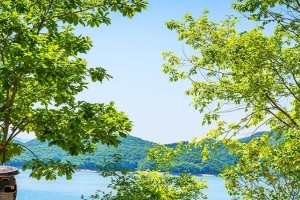 기사로 이동 - “이럴 거면 왜 받지?” 입장료 2천 원 내면 전액 돌려주는 9km 호수길